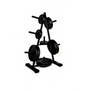 Fitway standard 1" plate tree shown with plates at an angle from Fitness Experience